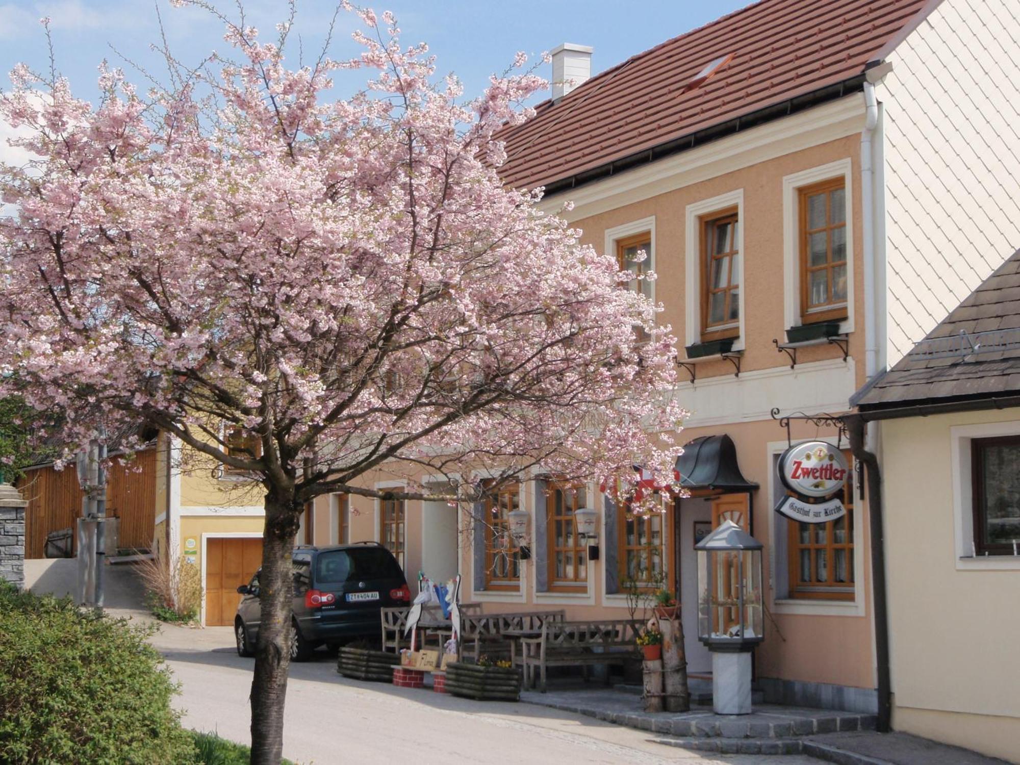 Gasthof Zur Kirche Hotell Kottes Eksteriør bilde